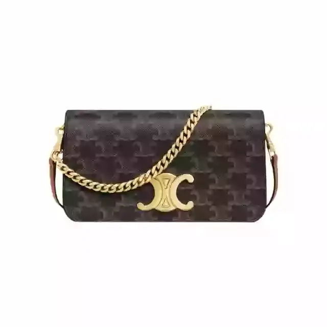 حقيبة سيلين 20.5*11*4 سمCEB080