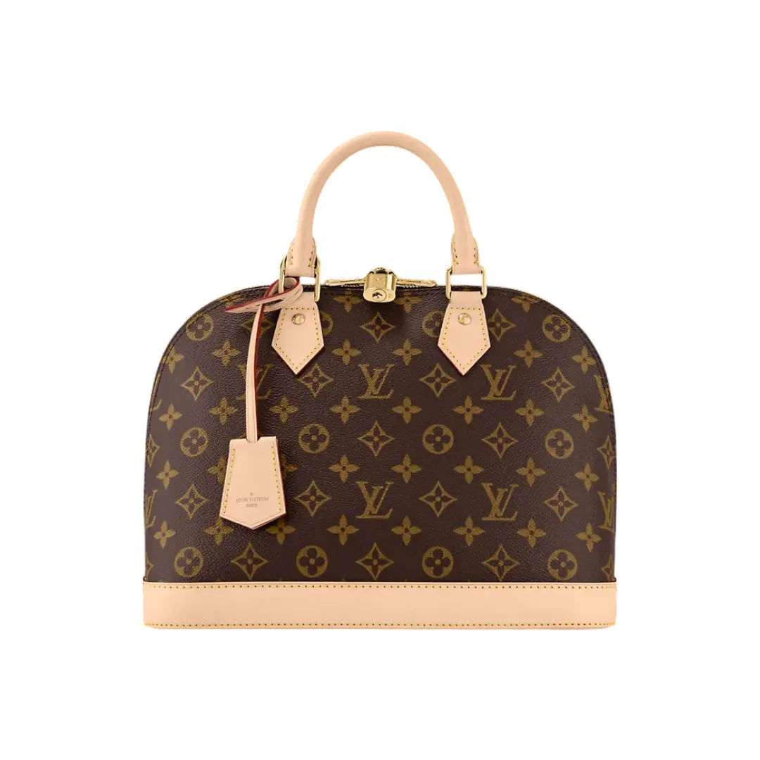 أكياس LV مقاس 25*16*32 سم LB242