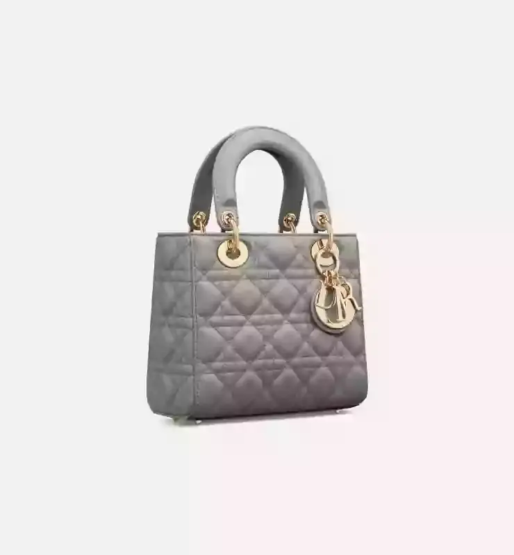 حقيبة ديور 20*8*17 سم DB004