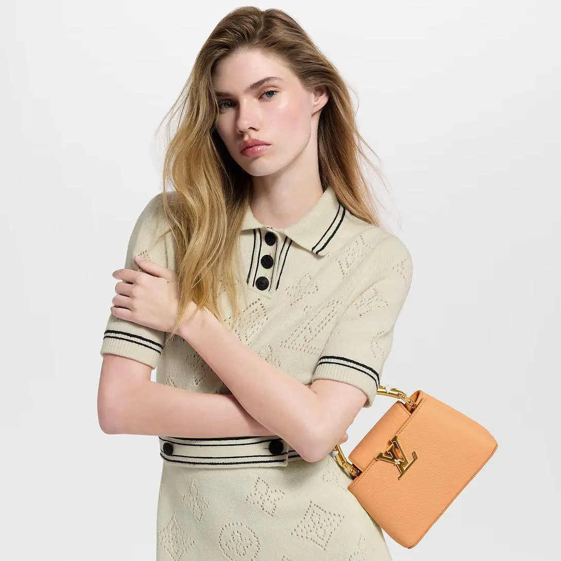 أكياس LV مقاس 21*13.6*8 سم LB333 - صورة 2