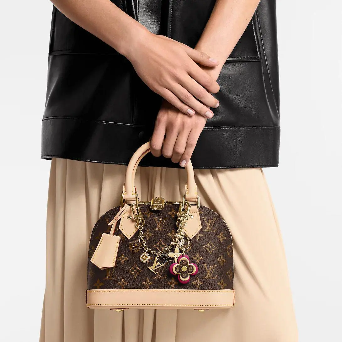 شنط LV مقاس 17.5*11.5*23.5 سم LB237 - صورة 3