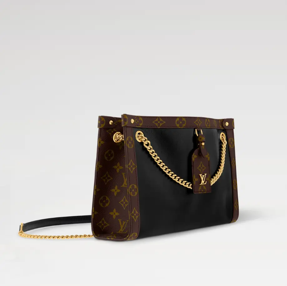 أكياس LV 31*21*9سم LB086 - صورة 1