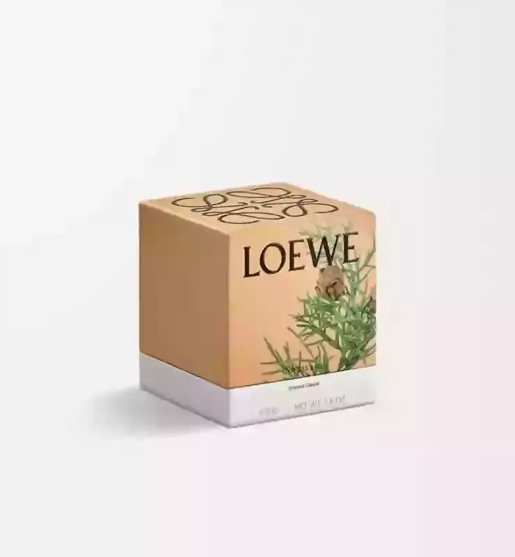 شمعة لوي HA89