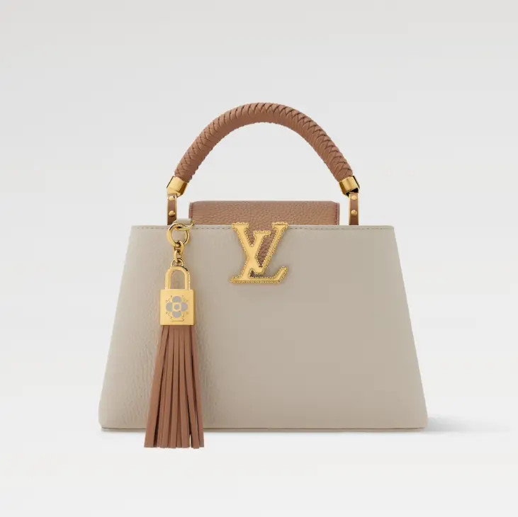 أكياس LV مقاس 27*17.3*9 سم LB325