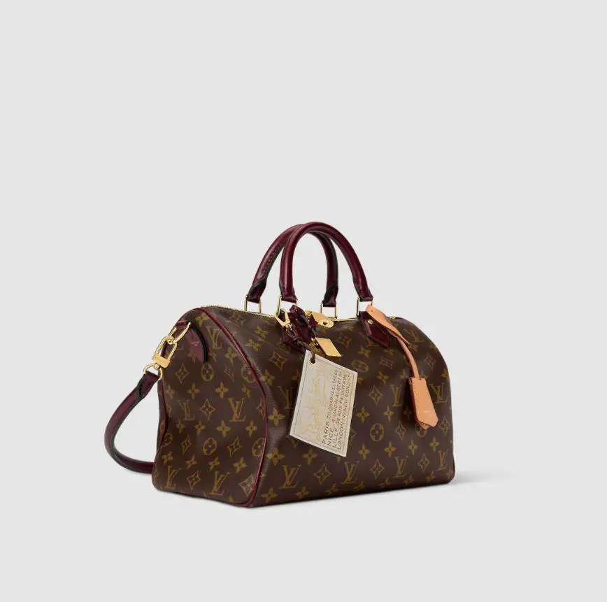 شنط LV 30*21*17 LB355 - صورة 1