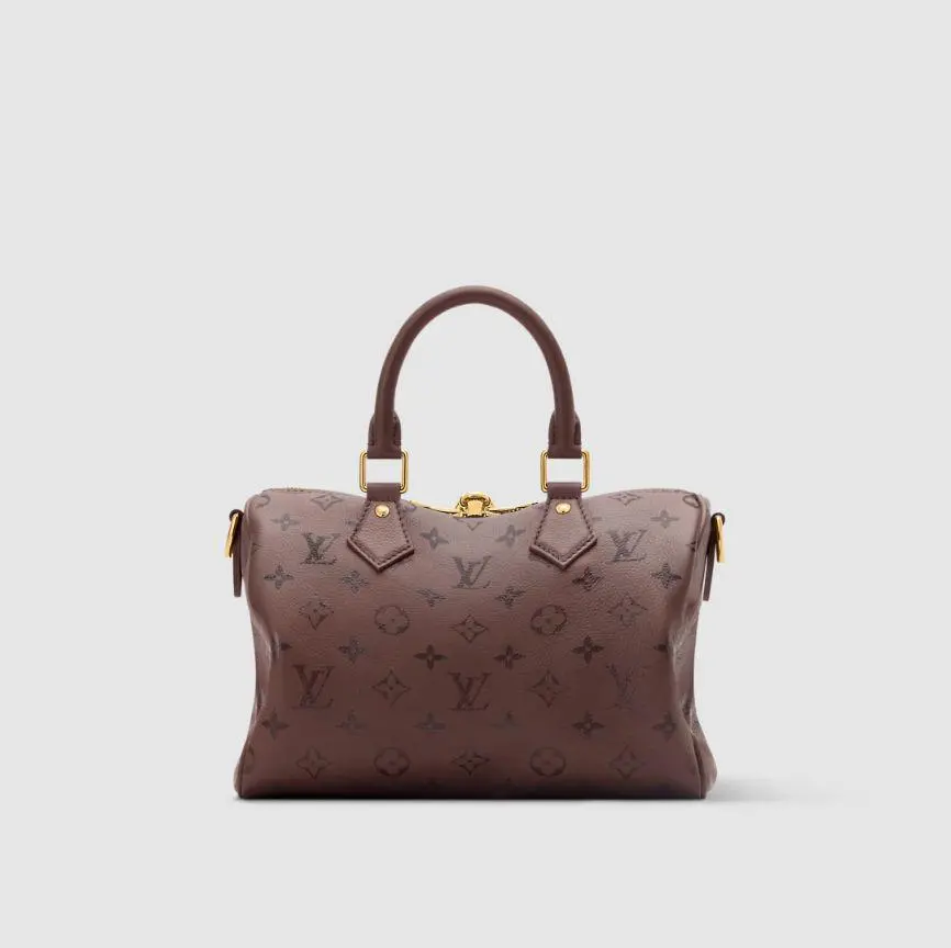 أكياس LV مقاس 13*18*25 سم LB350 - صورة 2
