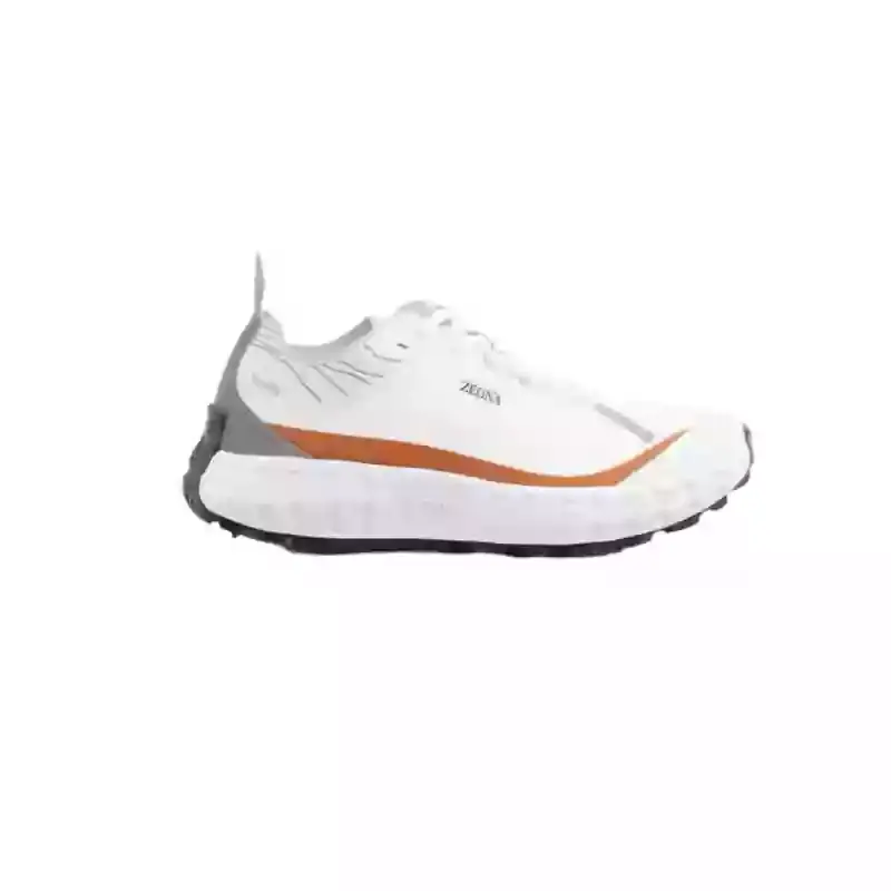 حذاء زيجنا للرجال NK384