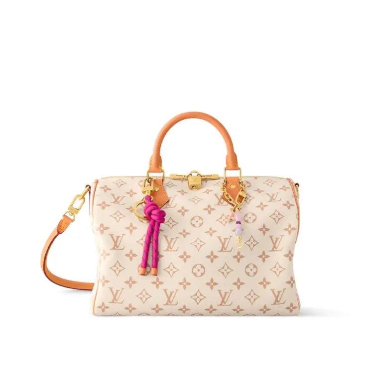 أكياس LV 30*21*17 سم LB328