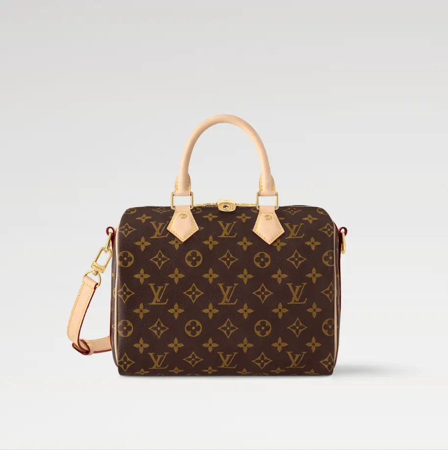 شنط LV مقاس 19*15*25 سم LB114